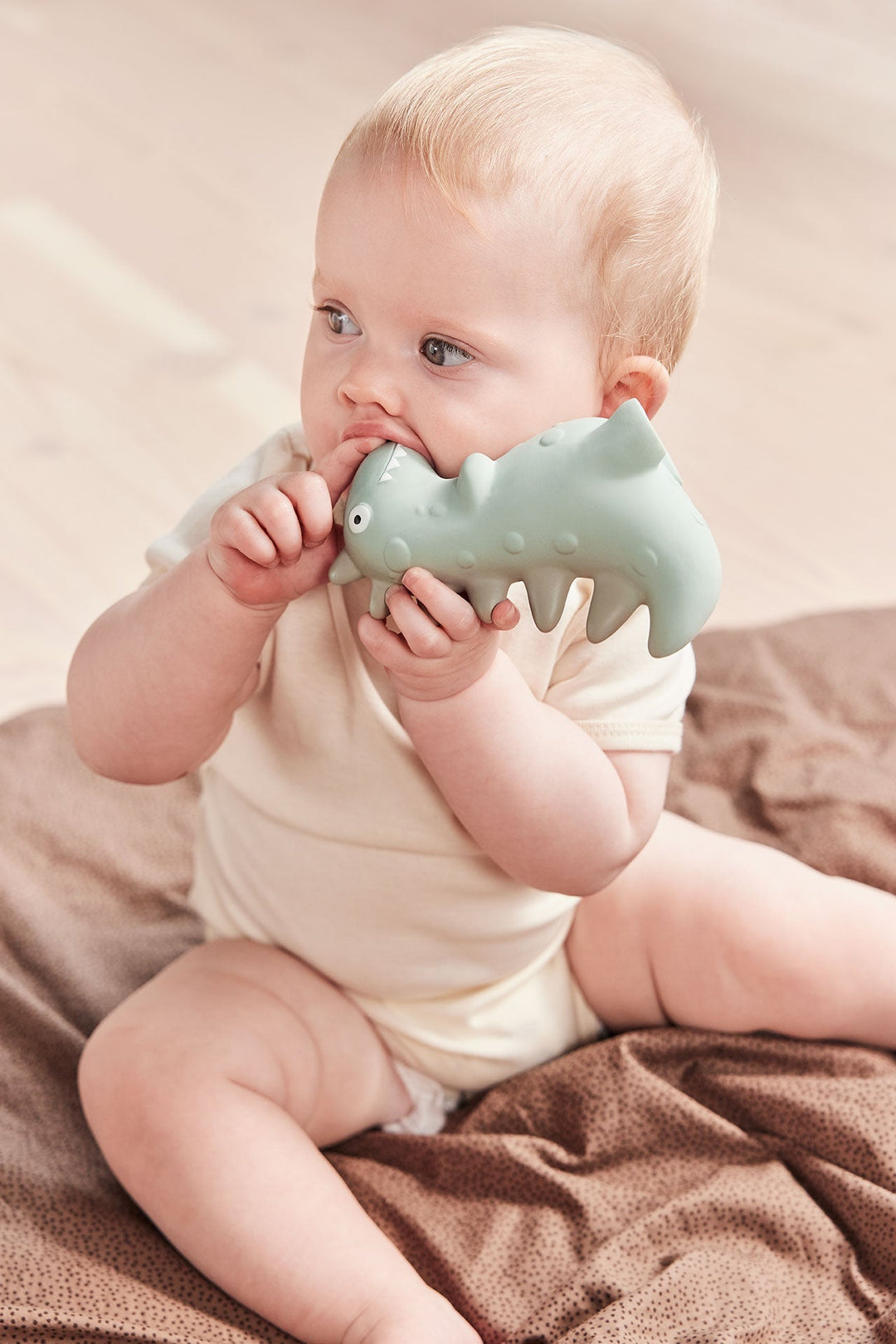 Theo Dino Teether 3