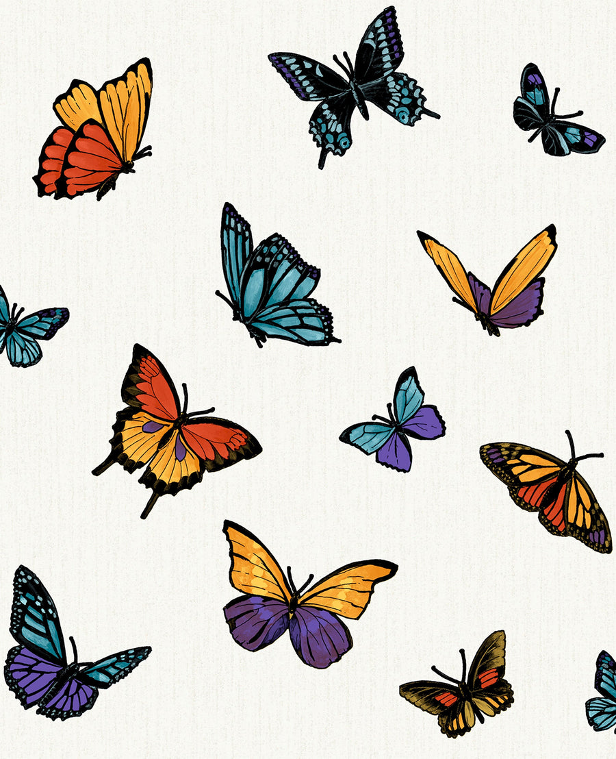 Flutterby Wallpaper in Multi from the Capsule Collection by Graham & Brown